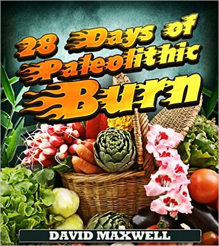28 Days of Paleolithic Burn (Paleo Diet Book 1)