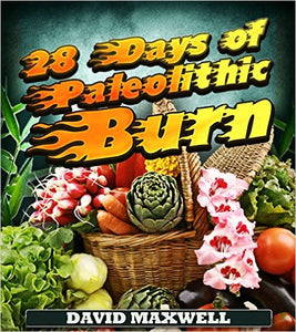 28 Days of Paleolithic Burn (Paleo Diet Book 1)